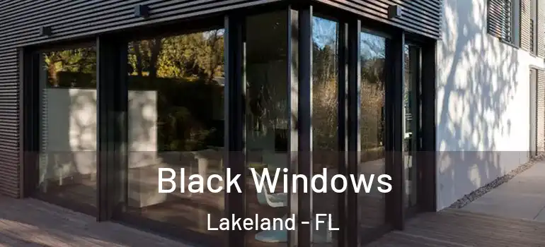 Black Windows Lakeland - FL