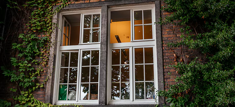 Energy Efficient Wood Windows in Lakeland, FL
