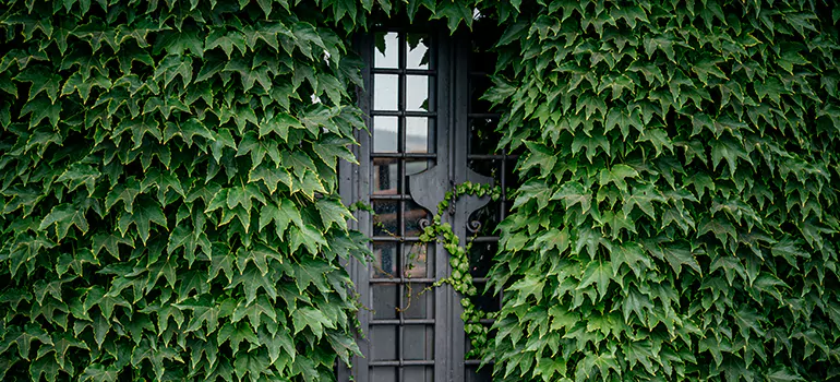 Garden Gate Repair in Lakeland, FL