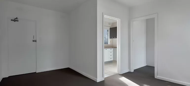 Dark Interior Doors in Lakeland, FL