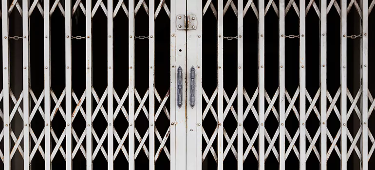 Steel Line Garage Door Repairs in Lakeland, FL