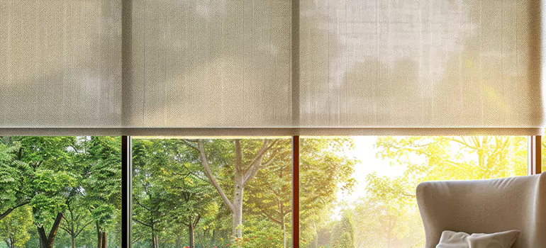 Custom Window Shades in Lakeland, FL