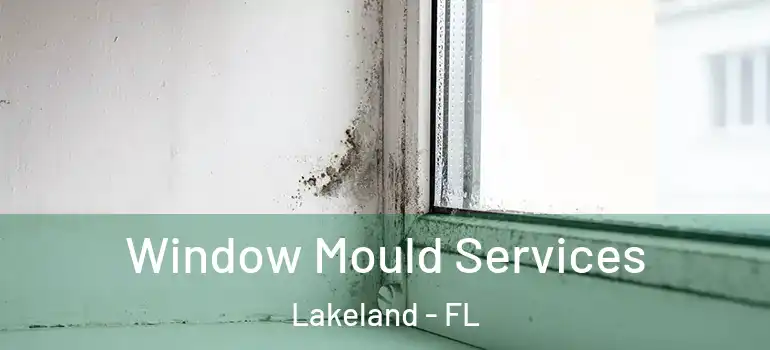  Window Mould Services Lakeland - FL