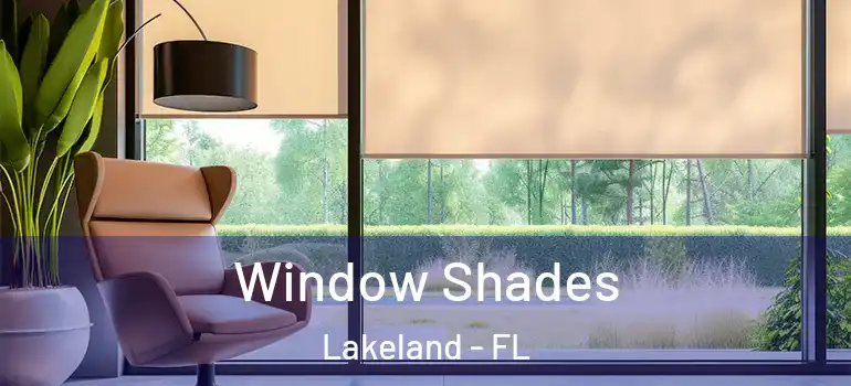  Window Shades Lakeland - FL
